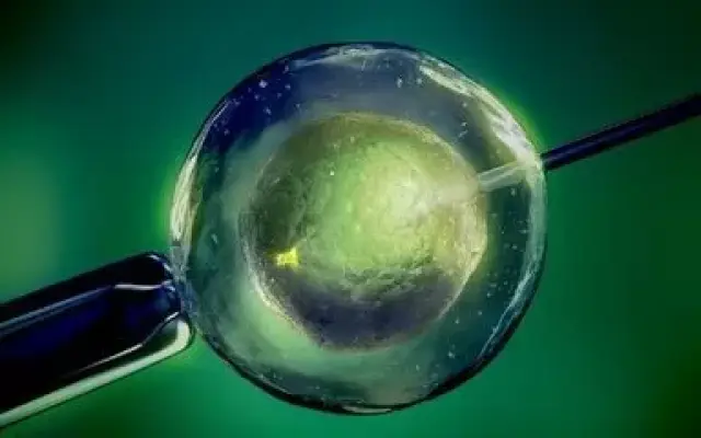 生殖医学科